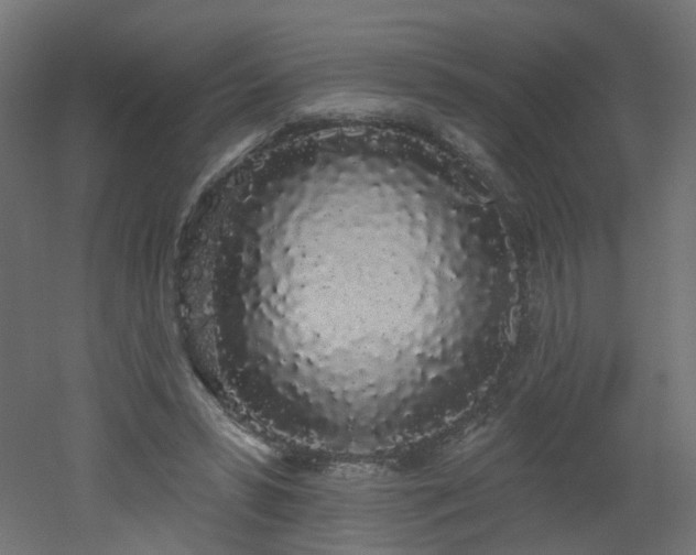 X0000051920399200506241514