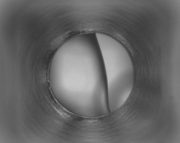 X0000051920401200506241514