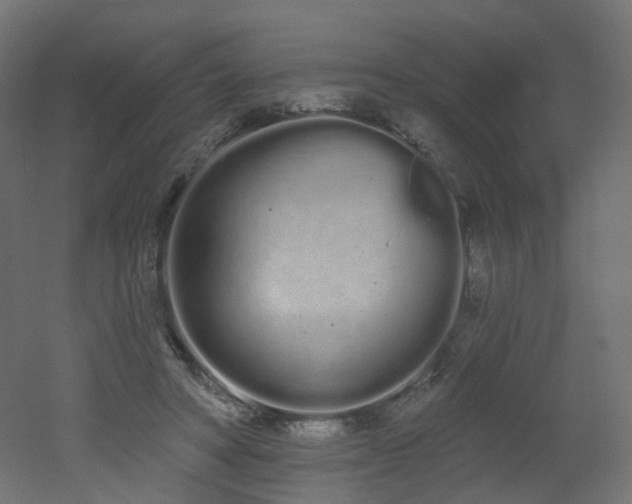 X0000051920402200506241514