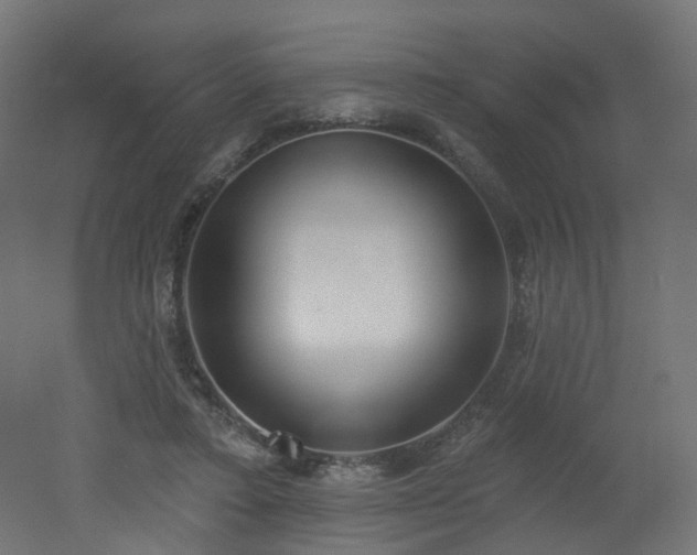 X0000051920403200506241514