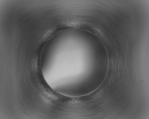 X0000051920404200506241514