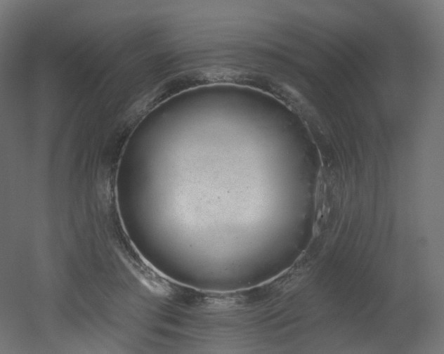 X0000051920405200506241514
