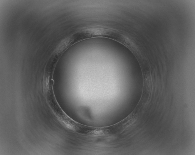 X0000051920406200506241514