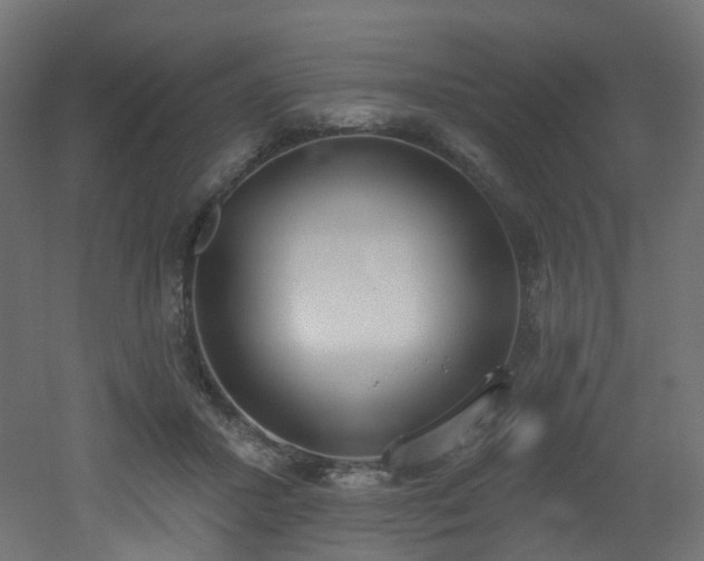 X0000051920407200506241514