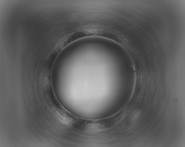 X0000051920408200506241514