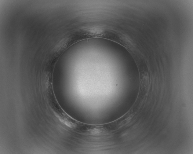 X0000051920412200506241514