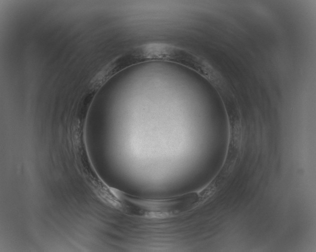 X0000051920413200506241514