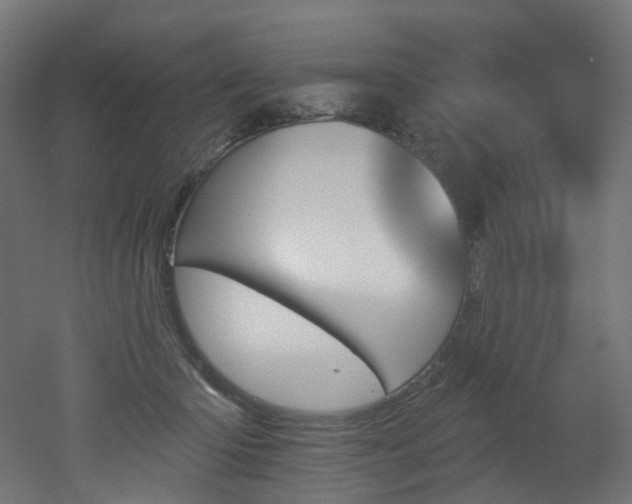 X0000051920414200506241514