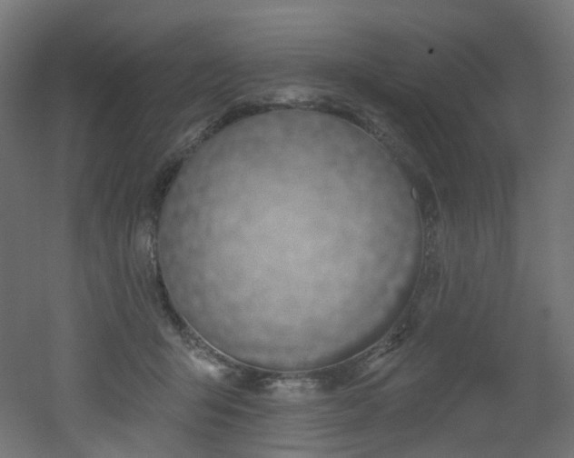 X0000051920415200506241514
