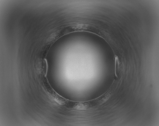 X0000051920416200506241514