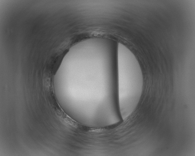 X0000051920417200506241514