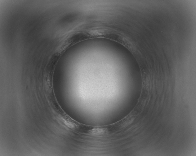 X0000051920418200506241514