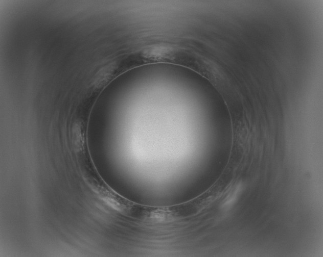 X0000051920420200506241514