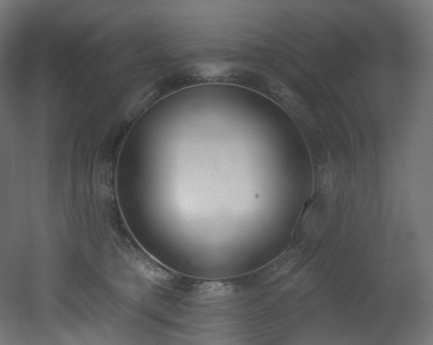 X0000051920421200506241514