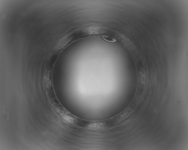 X0000051920422200506241514