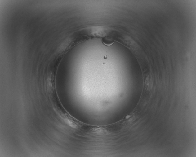 X0000051920424200506241514