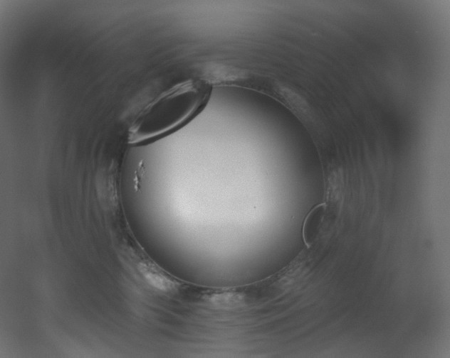 X0000051920426200506241514