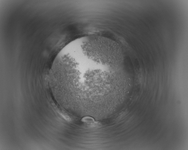 X0000051920427200506241514