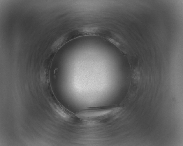 X0000051920428200506241514