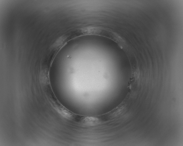 X0000051920429200506241514