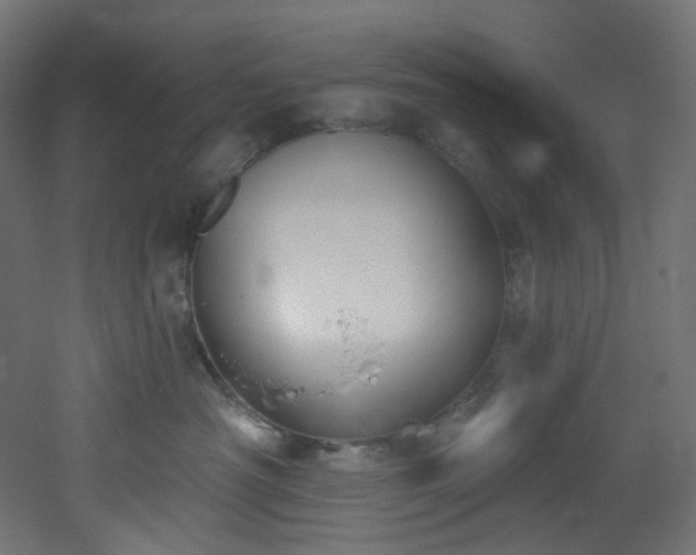 X0000051920430200506241514