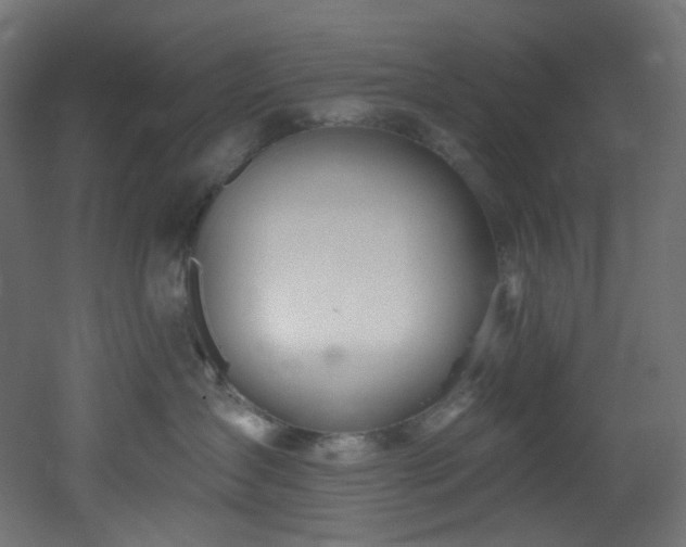 X0000051920431200506241514