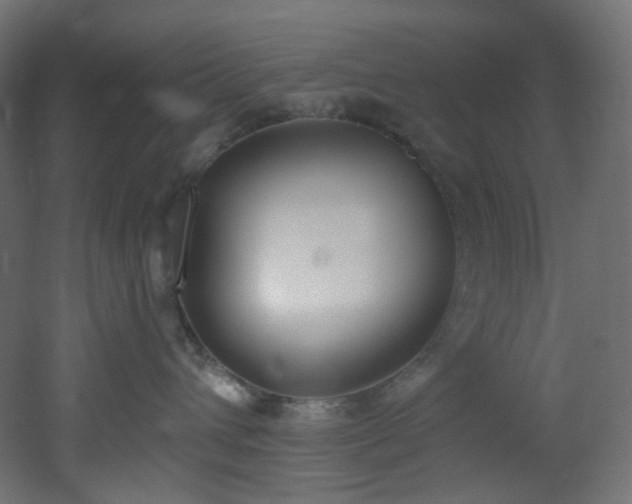 X0000051920432200506241514