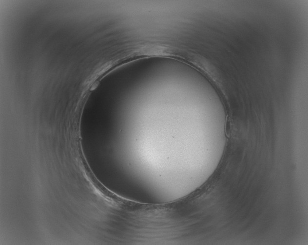 X0000051920433200506241513