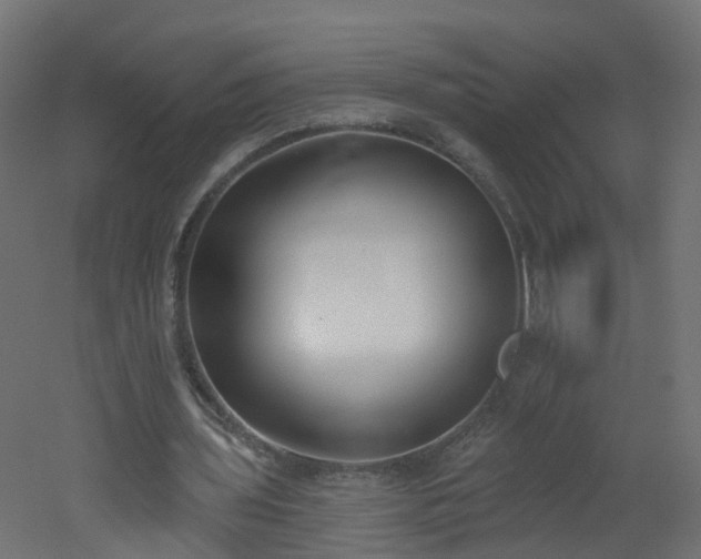 X0000051920435200506241513