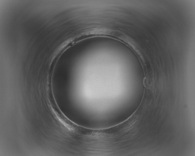 X0000051920437200506241513