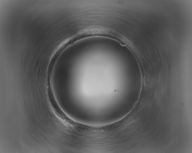 X0000051920438200506241513