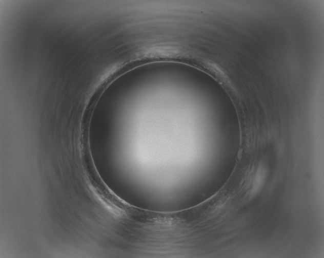 X0000051920439200506241513
