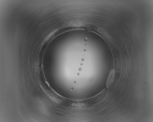 X0000051920440200506241513