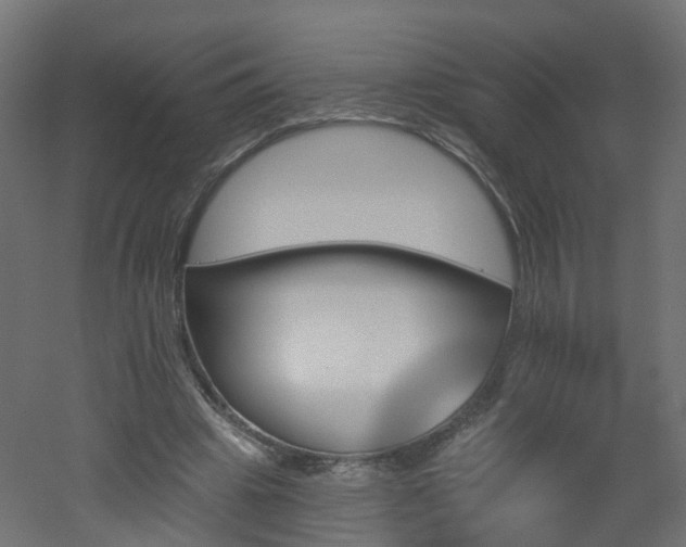 X0000051920441200506241513