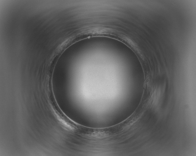 X0000051920445200506241513