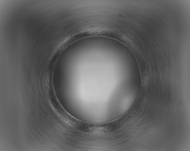 X0000051920448200506241513