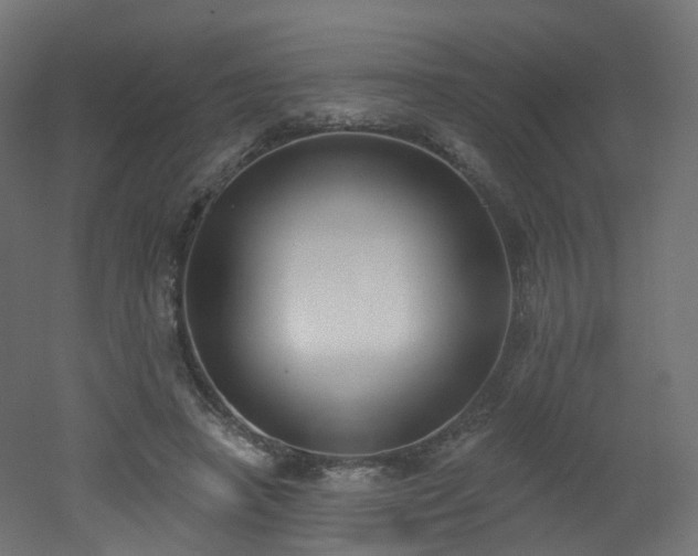 X0000051920450200506241513