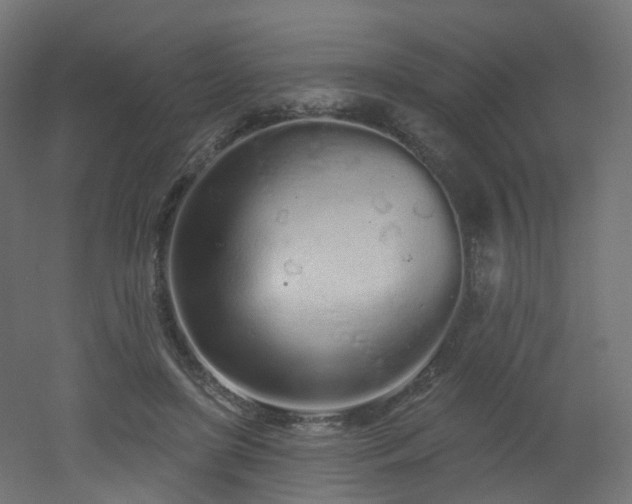 X0000051920451200506241513