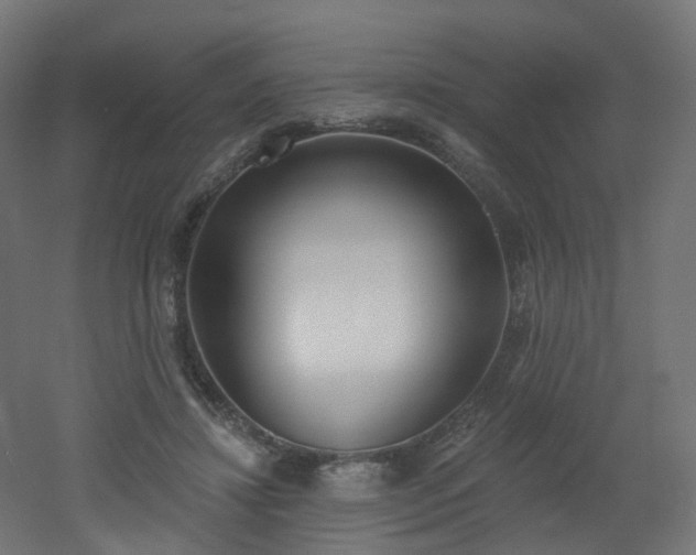 X0000051920452200506241513