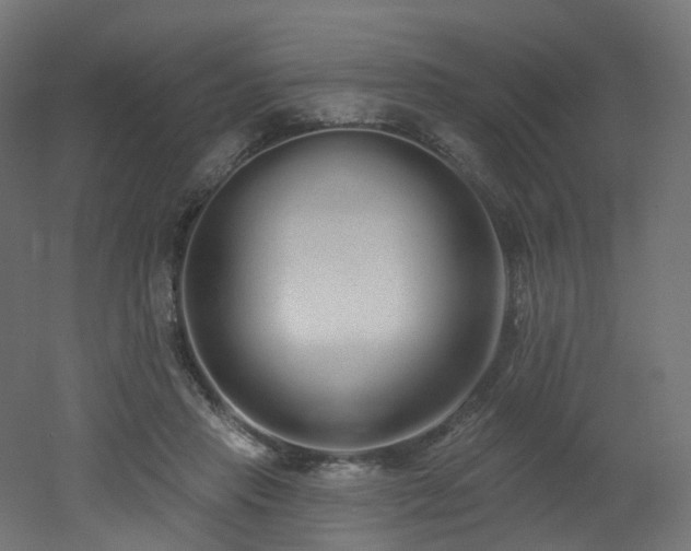 X0000051920453200506241513