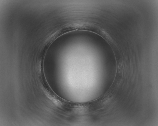 X0000051920454200506241513