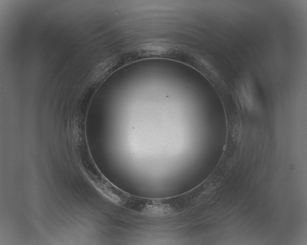 X0000051920455200506241513