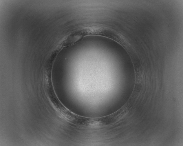 X0000051920456200506241513