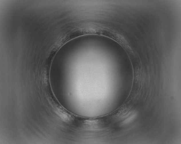 X0000051920457200506241513