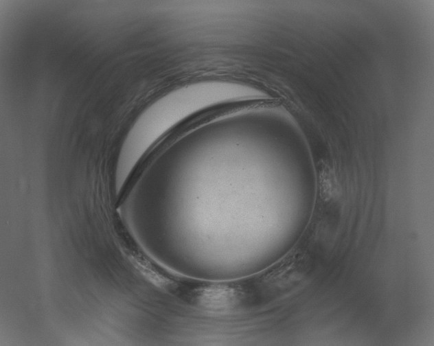X0000051920458200506241513