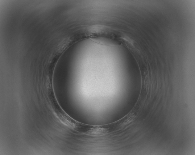 X0000051920459200506241513