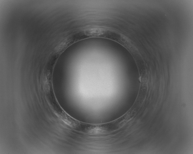 X0000051920460200506241513