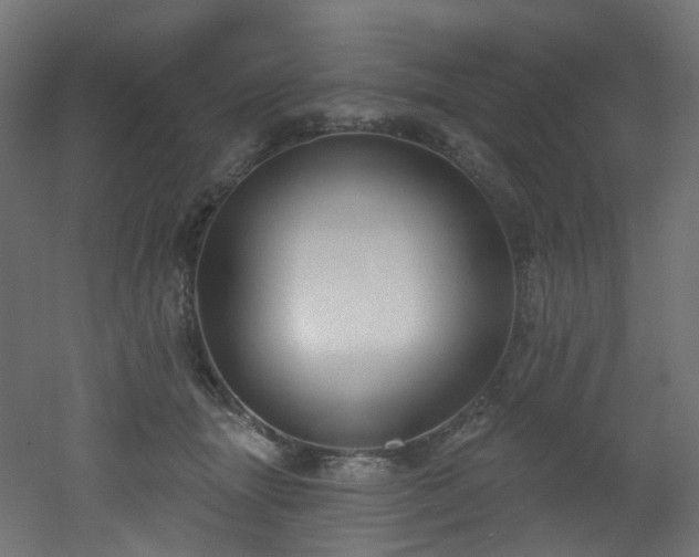 X0000051920463200506241513