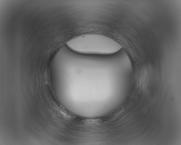 X0000051920465200506241513
