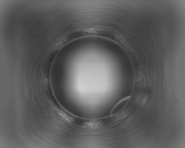 X0000051920466200506241513